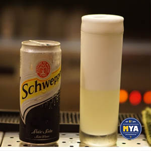 Gin Fizz
