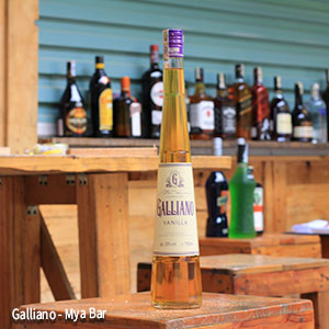 Galliano